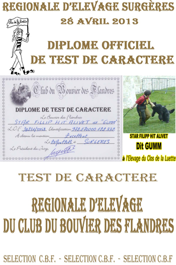 GUMM Elevage du Clos de la Luette